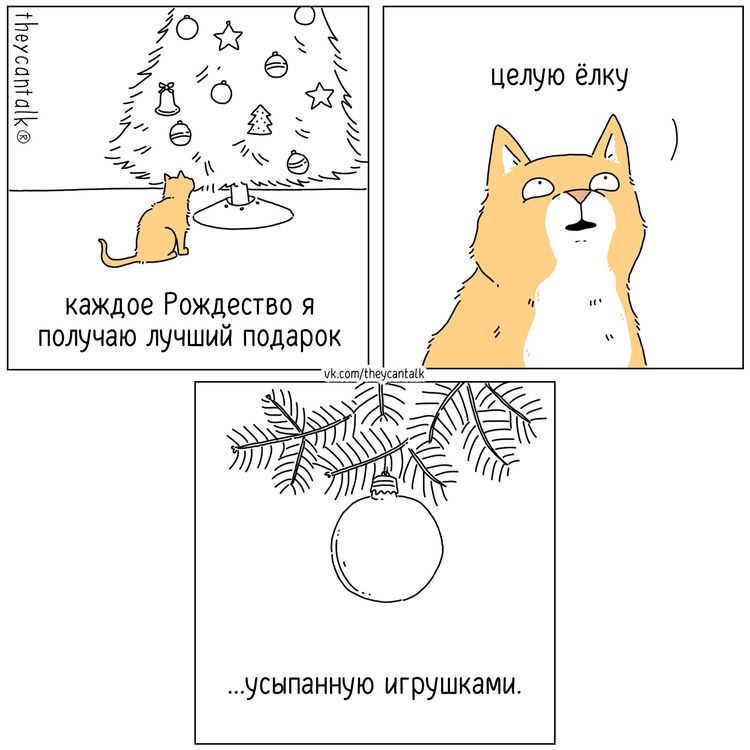 image-20231211113938-2