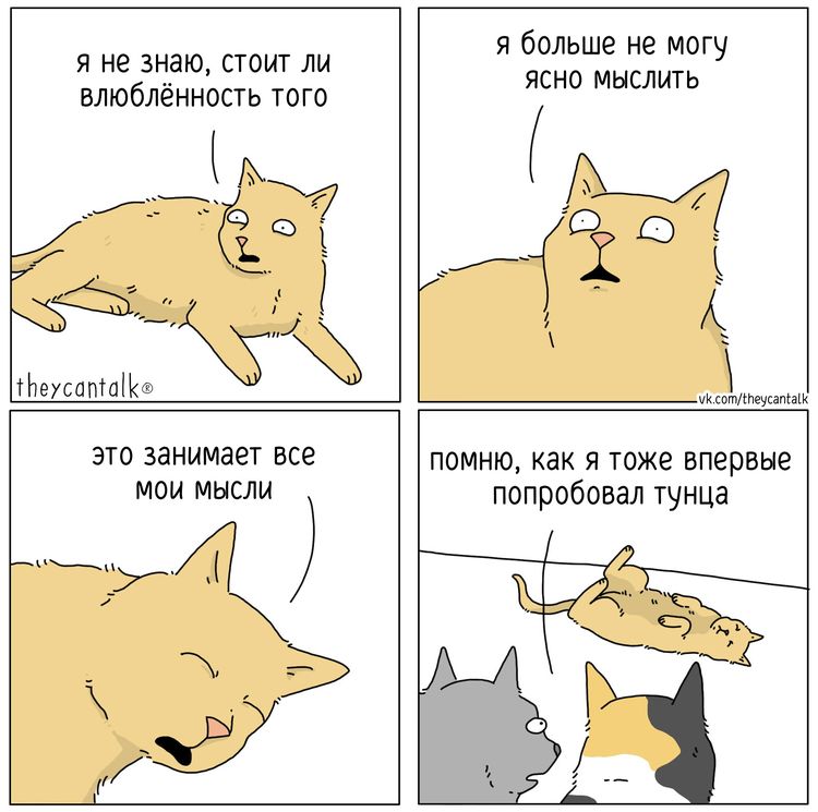 image-20231211113941-3