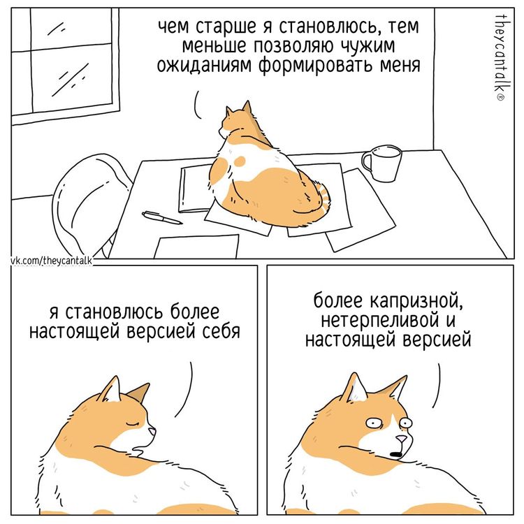 image-20231211113944-4