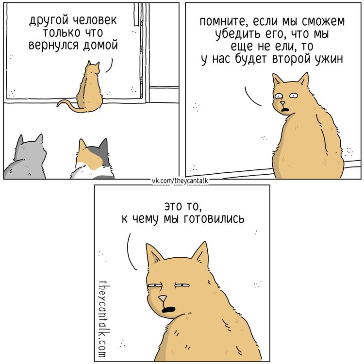 image-20231211114009-11