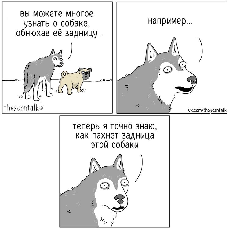 image-20231211114322-14