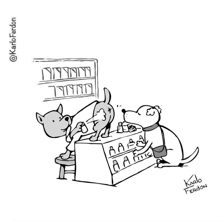 image-20231213135728-4