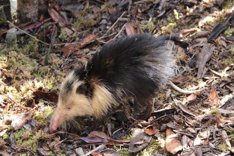 image-20231213162355-10