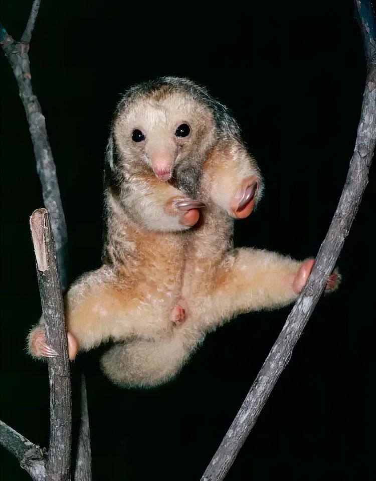 image-20231213162401-12