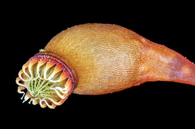 image-20231213162415-16