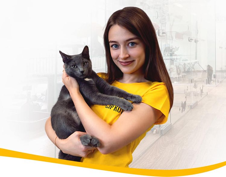 image-20231213184433-1