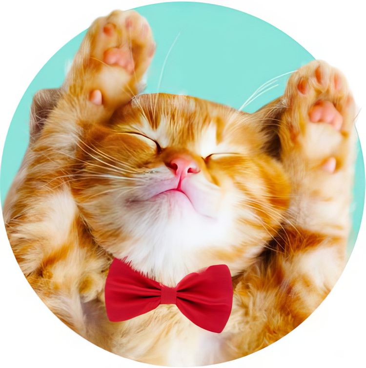 image-20231213184618-3