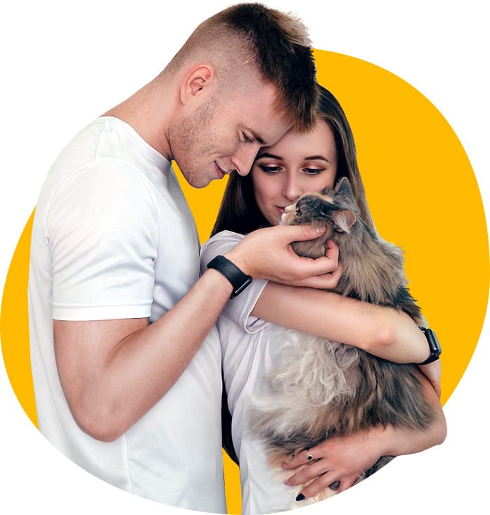 image-20231213184652-4