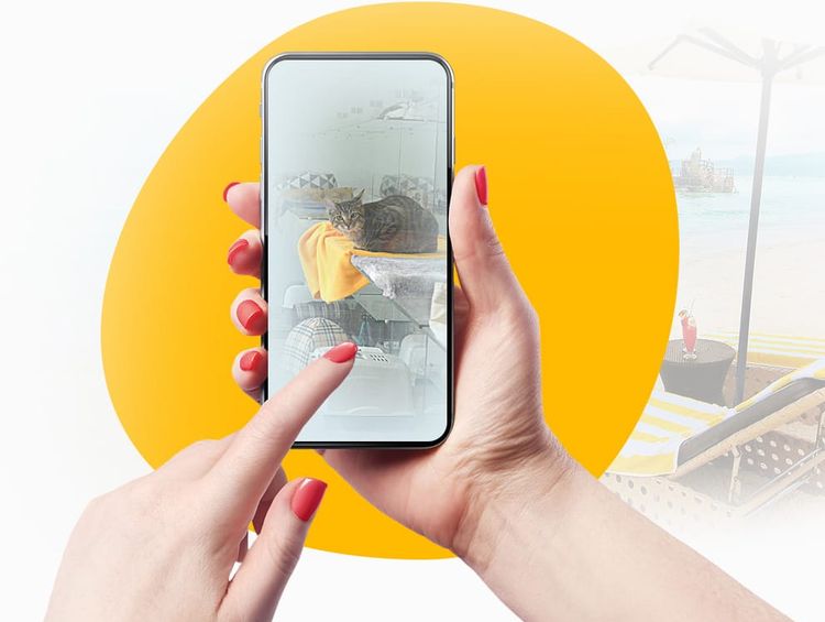 image-20231213184817-5