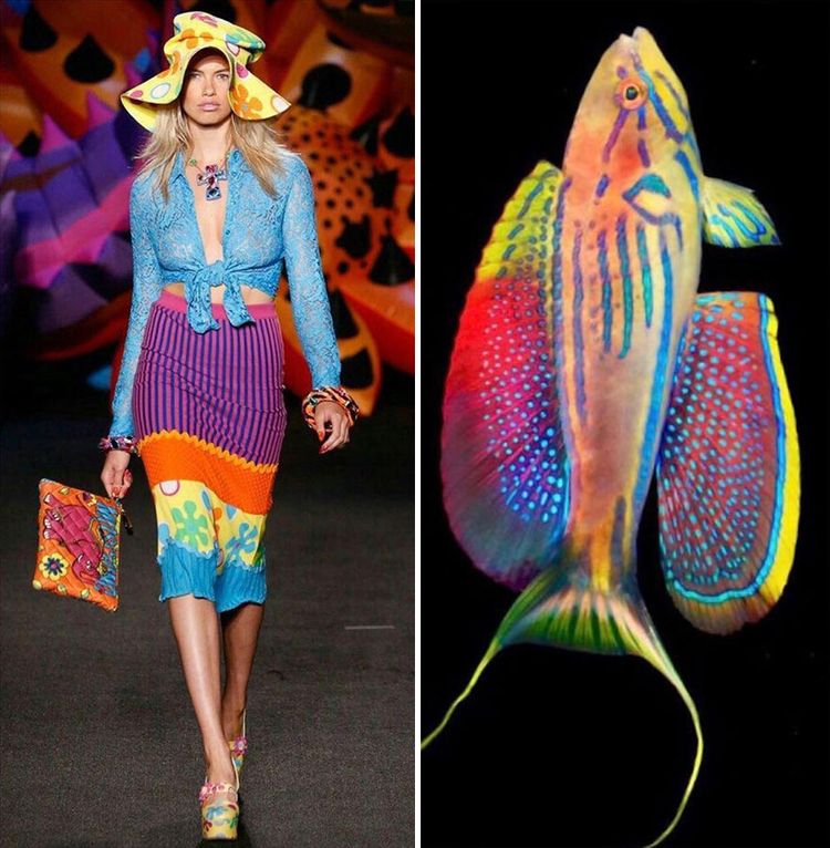 image-20231214121446-1