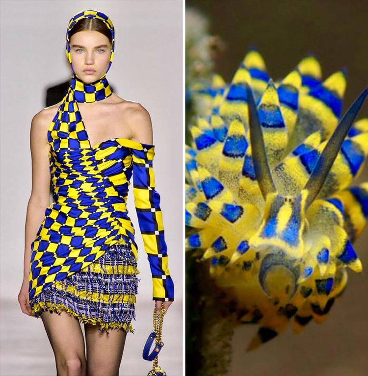 image-20231214121559-9