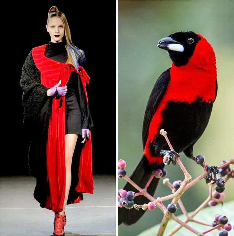 image-20231214121602-10