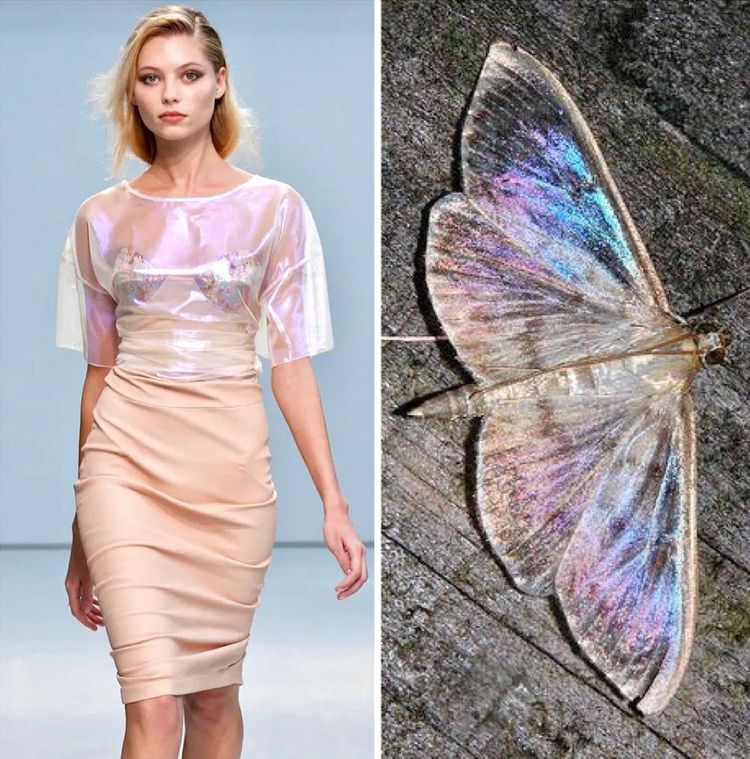 image-20231214121608-11