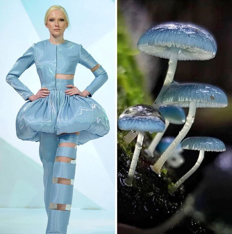 image-20231214121610-12