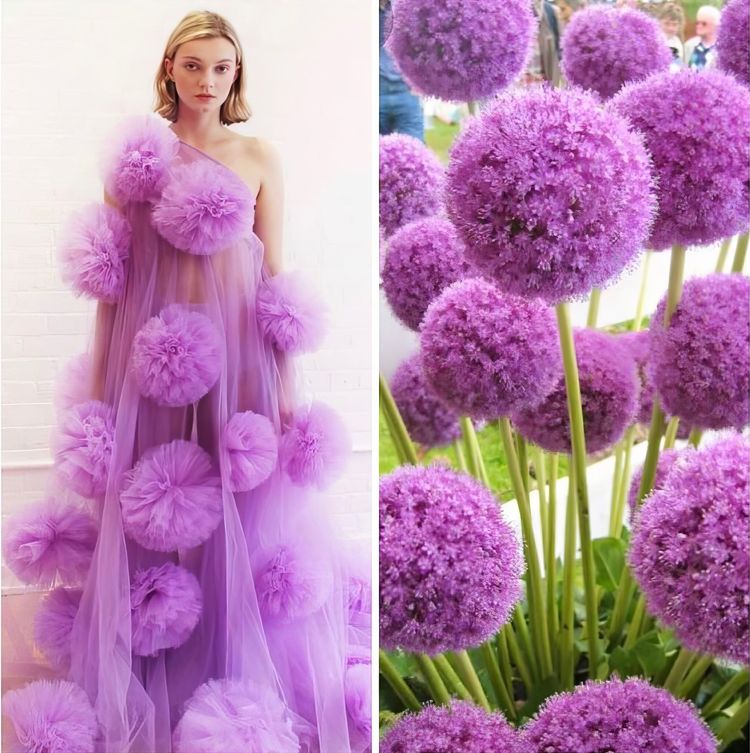 image-20231214121620-15