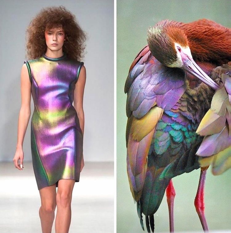 image-20231214121623-16