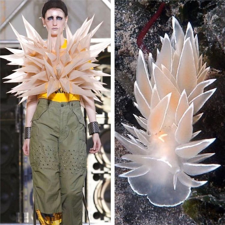 image-20231214121627-17