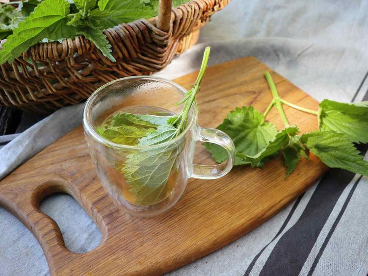 image-20231214152238-3