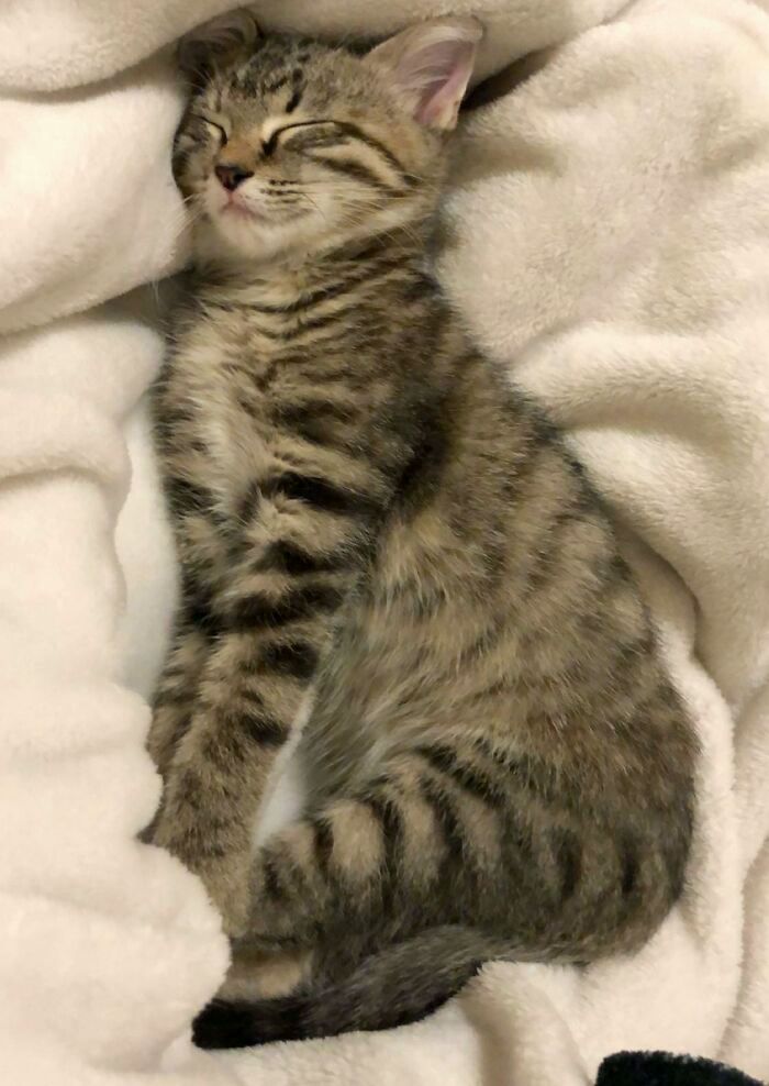 image-20231215105735-4