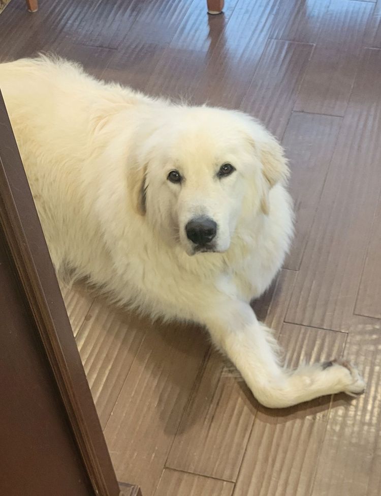 image-20231215105738-5