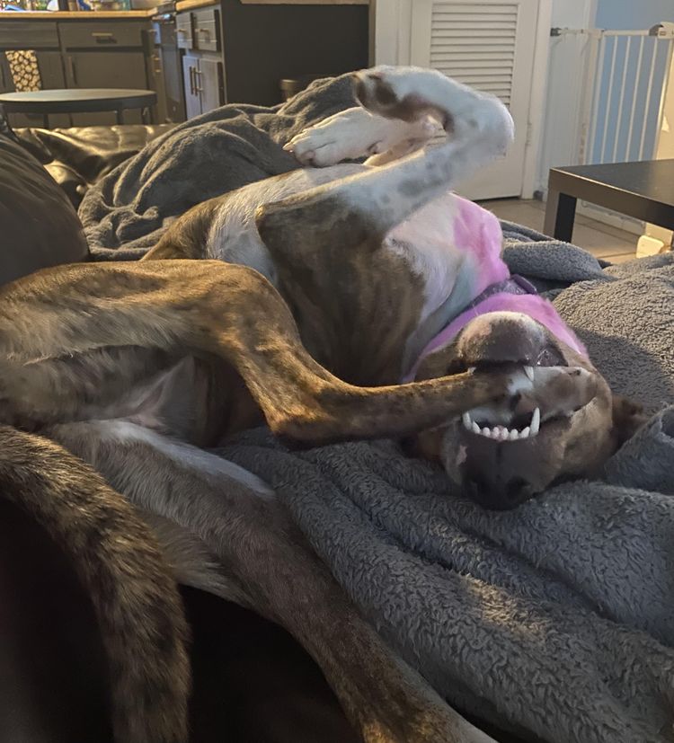 image-20231215105741-6