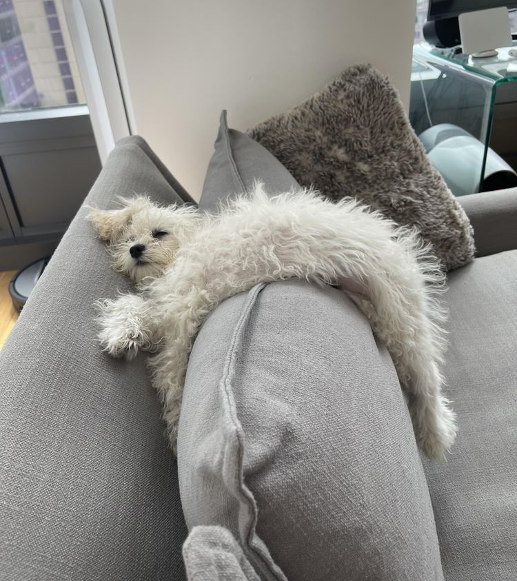 image-20231215105745-7