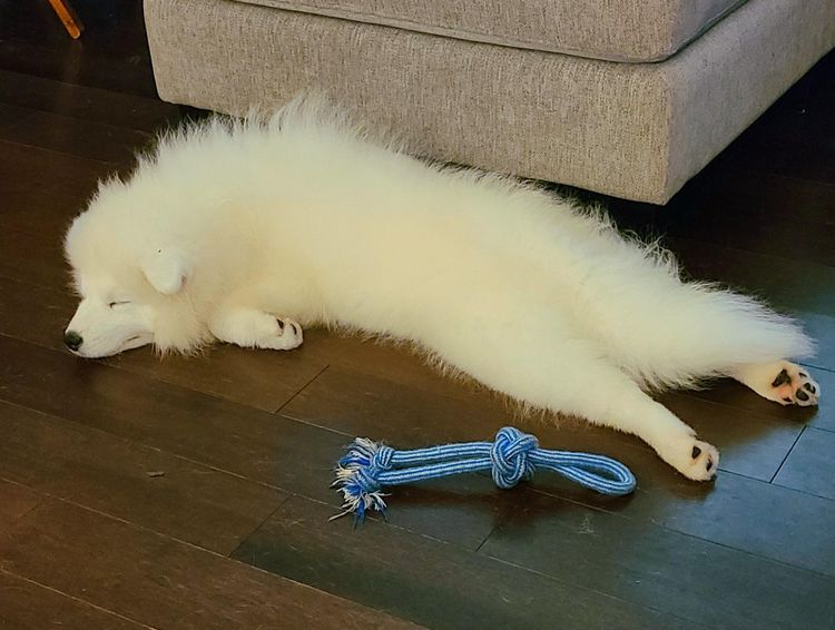 image-20231215105806-10