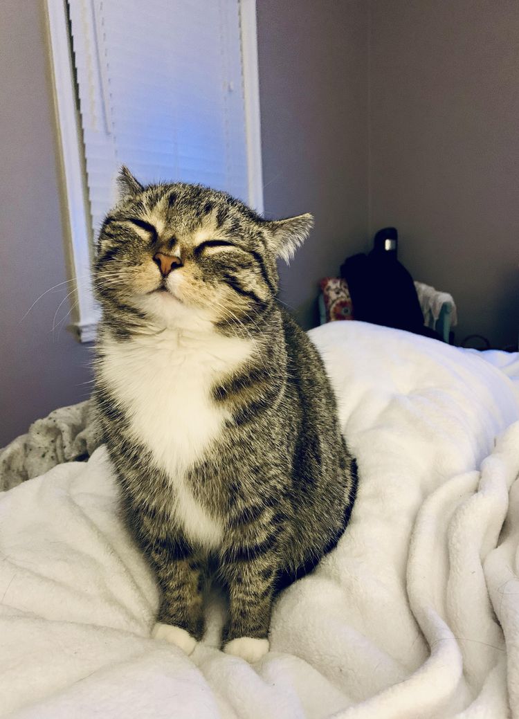 image-20231215105816-13