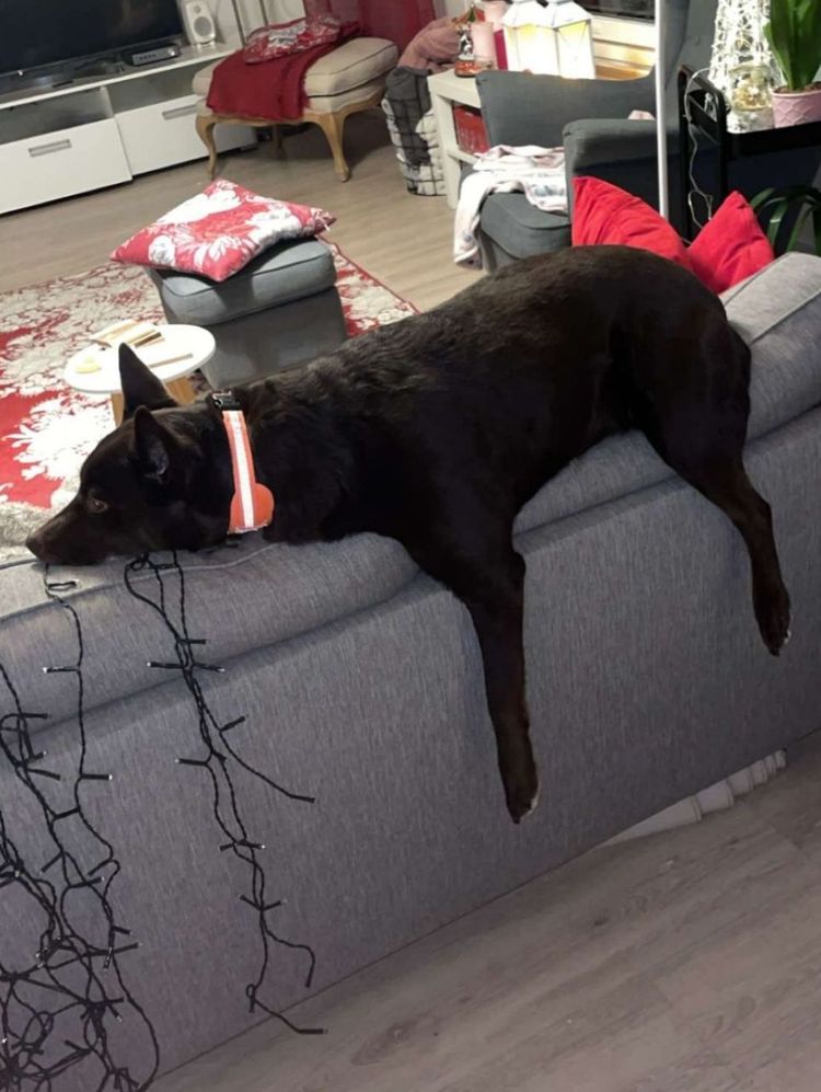 image-20231215105820-14