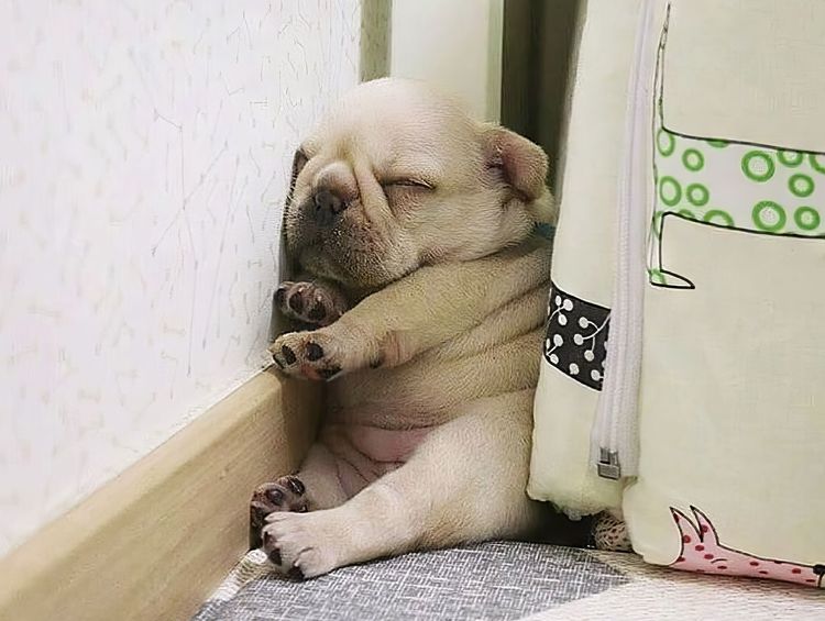 image-20231215105823-15