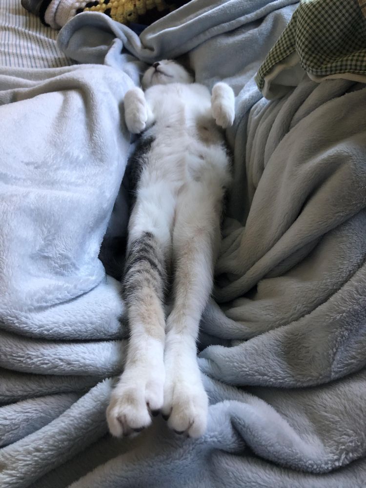 image-20231215105827-16