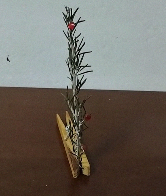 image-20231215141113-1