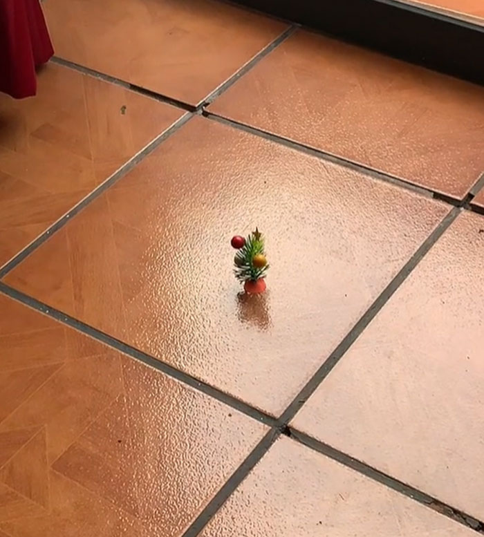 image-20231215141213-8