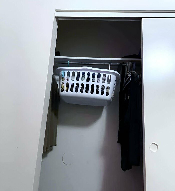 image-20231218104948-3