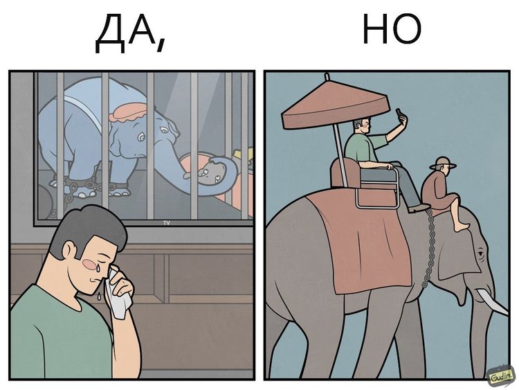 image-20231219104806-3