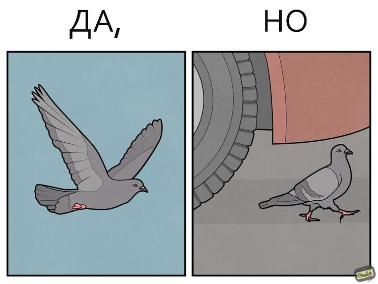 image-20231219104856-14