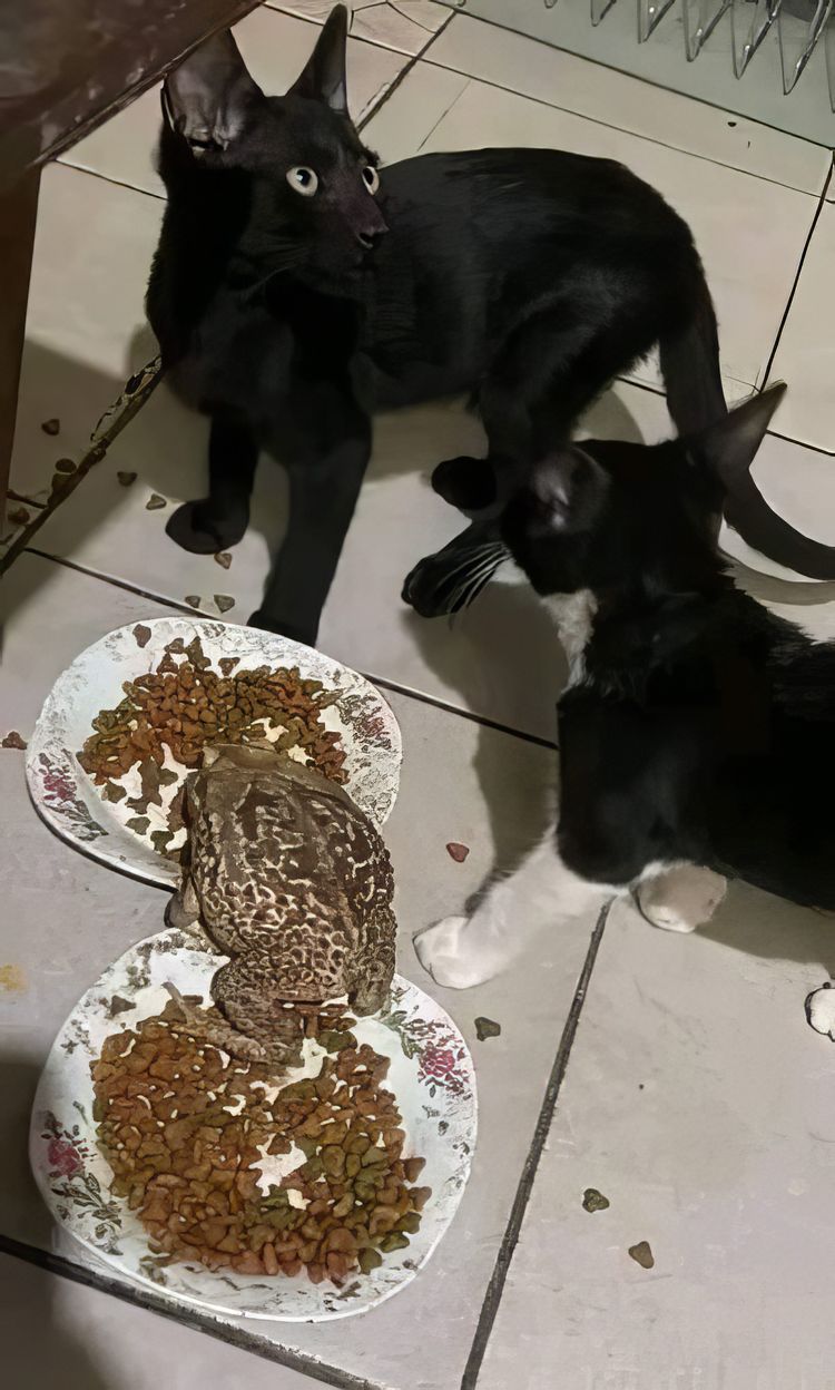 image-20231219135123-4