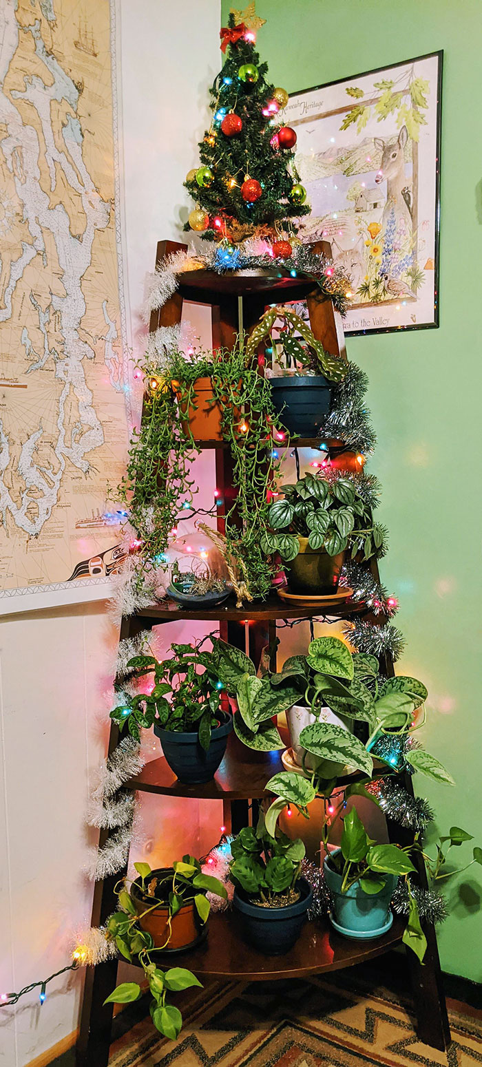 image-20231220131130-9