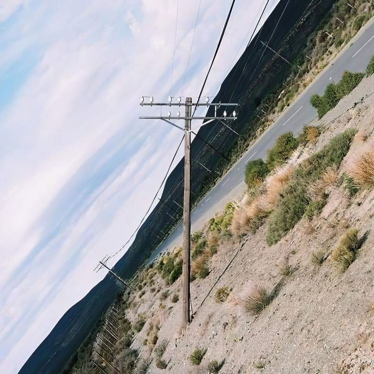 image-20231220141348-8