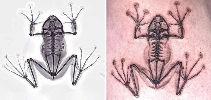 image-20231221111808-13