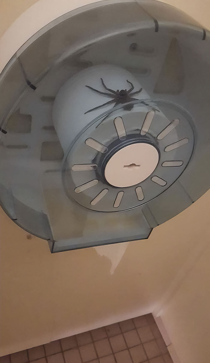 image-20231221120827-16