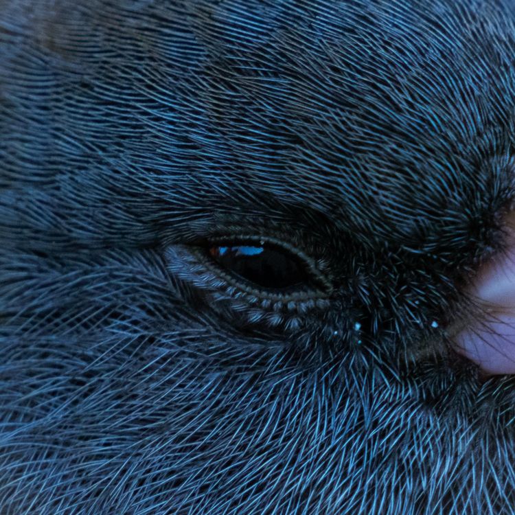 image-20231222125059-10