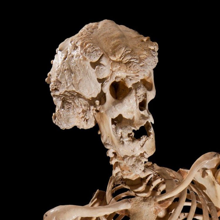 image-20231222125123-13