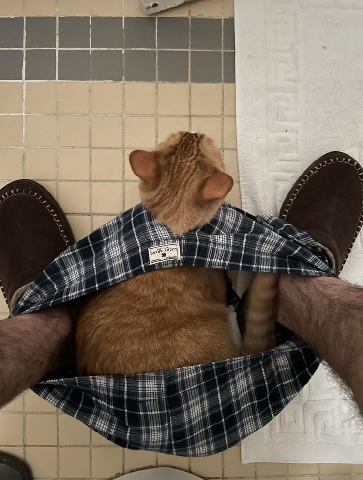 image-20231222144638-3