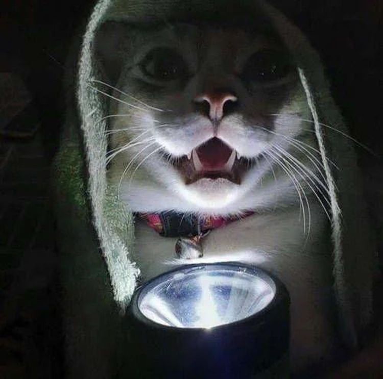 image-20231222144654-6