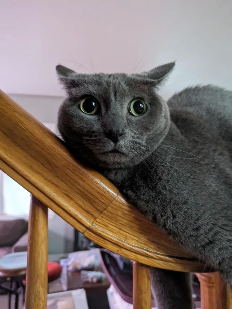 image-20231222144656-7