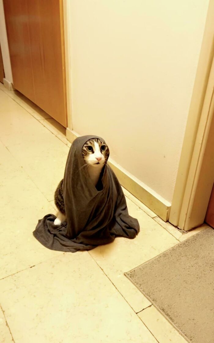 image-20231222144729-9