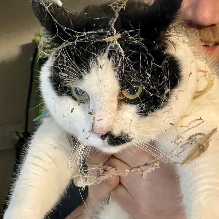 image-20231222144749-15