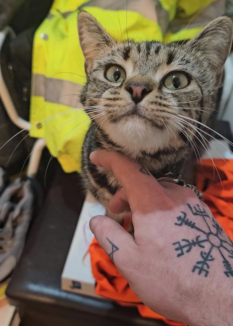 image-20231222144815-17