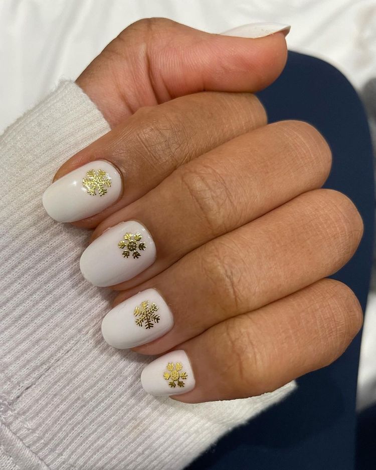 image-20231225112352-12